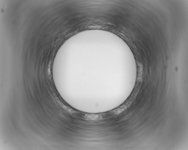 X0000085300230200704092306