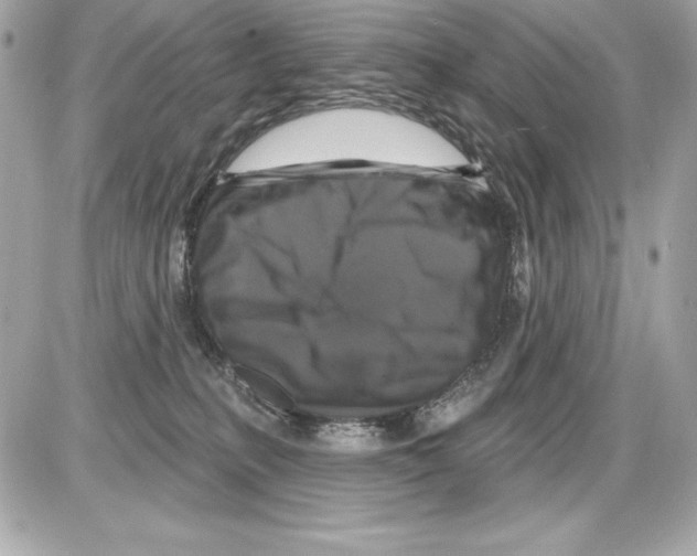 X0000085300231200704092306