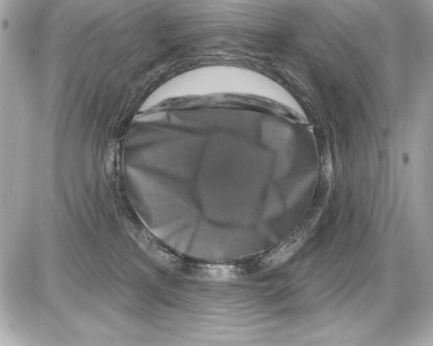 X0000085300233200704092306