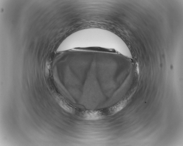 X0000085300235200704092306