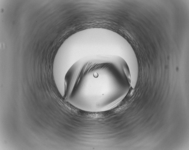 X0000085300237200704092305