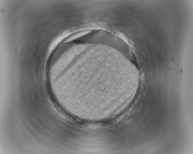 X0000085300248200704092305
