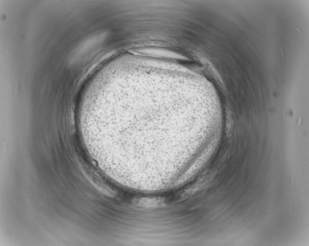 X0000085300251200704092305