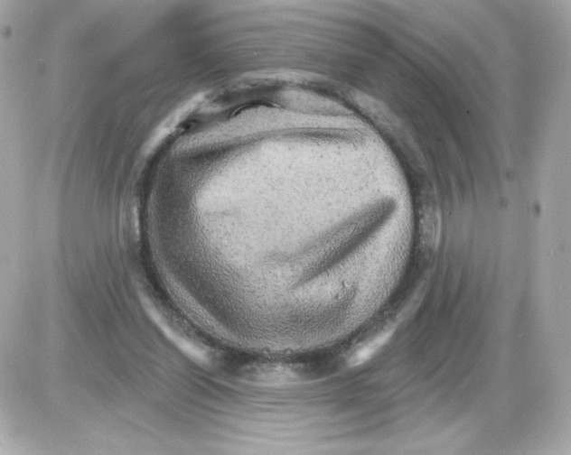 X0000085300254200704092305