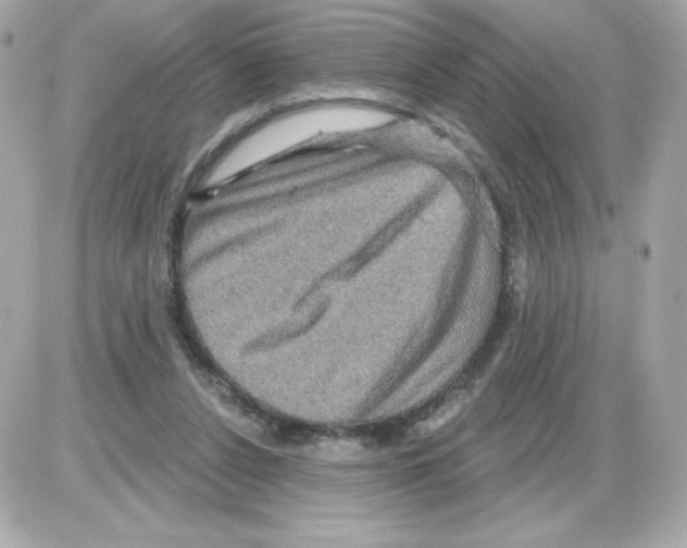 X0000085300256200704092305