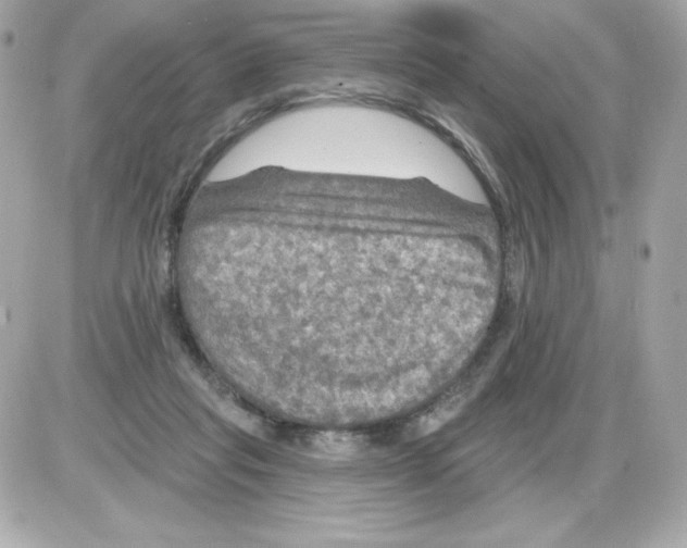 X0000085300261200704092305