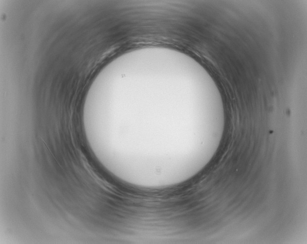 X0000085300264200704092305