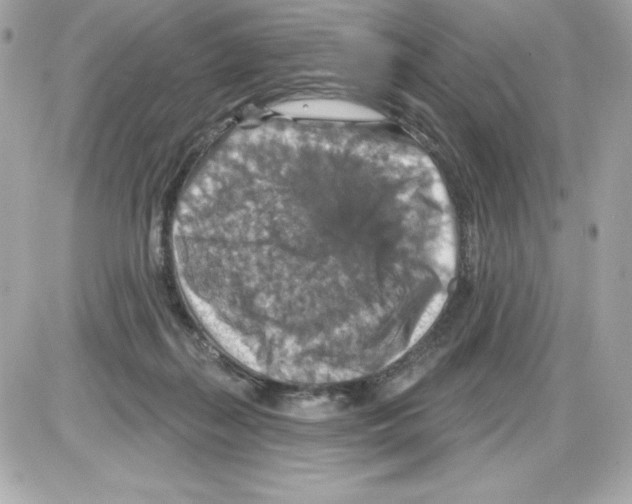 X0000085300267200704092305