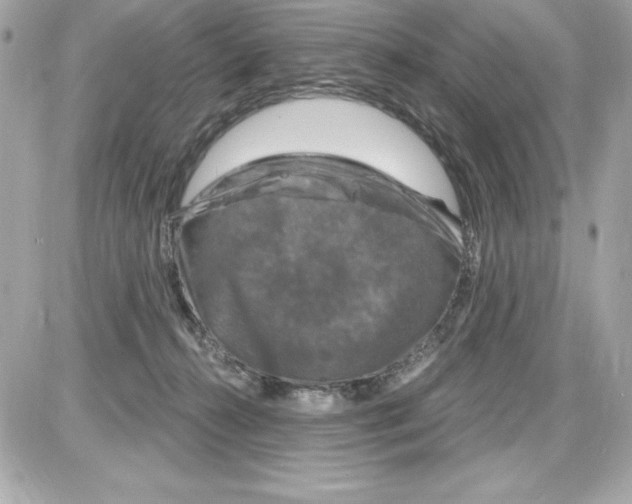X0000085300272200704092305