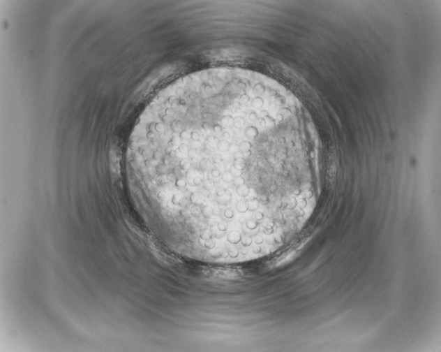 X0000085300282200704092305