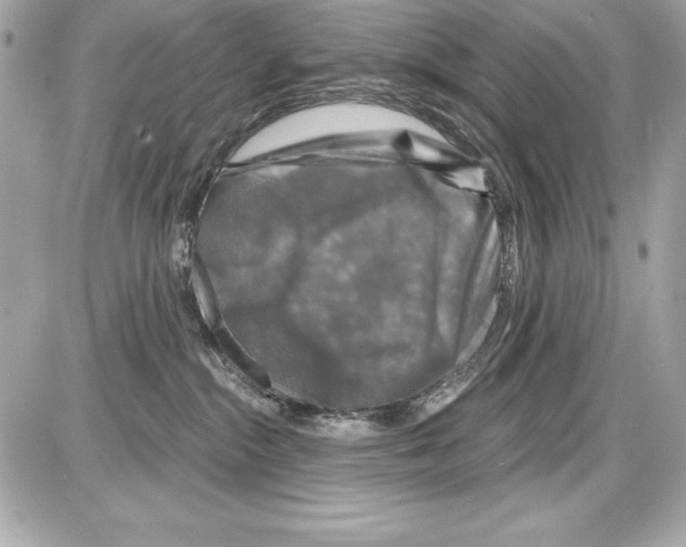 X0000085300284200704092305