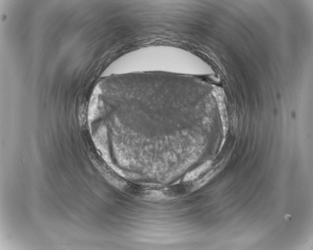X0000085300285200704092305