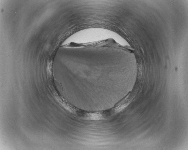 X0000085300286200704092305