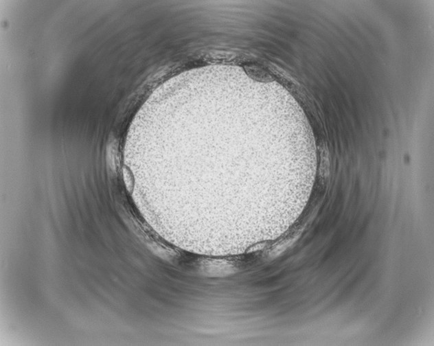 X0000085300287200704092305
