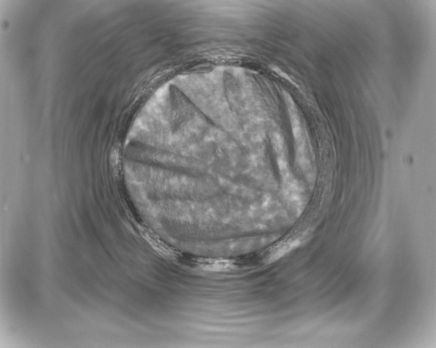 X0000085300288200704092305