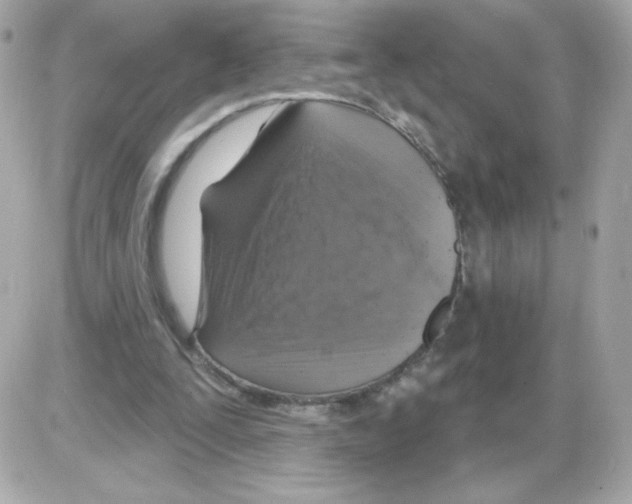 X0000085300295200704092305