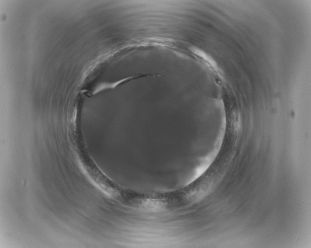 X0000085300303200704092304