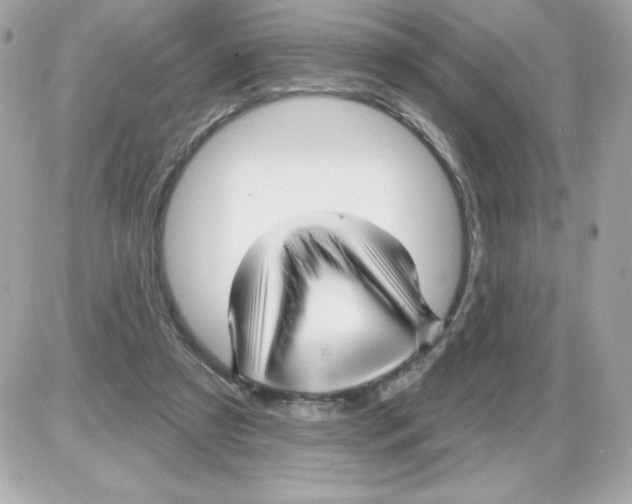 X0000085300305200704092304