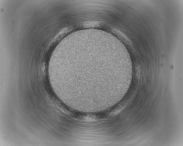 X0000085300308200704092304