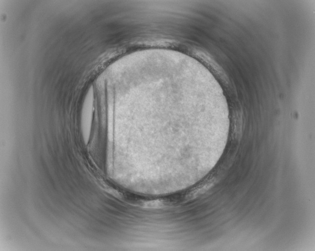 X0000085300309200704092304