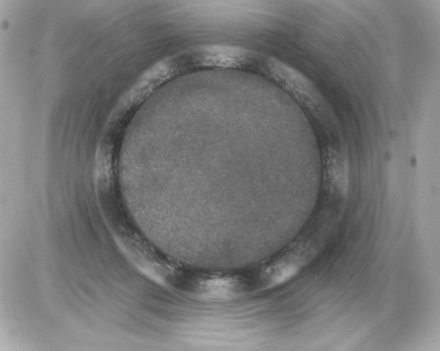 X0000085300312200704092304