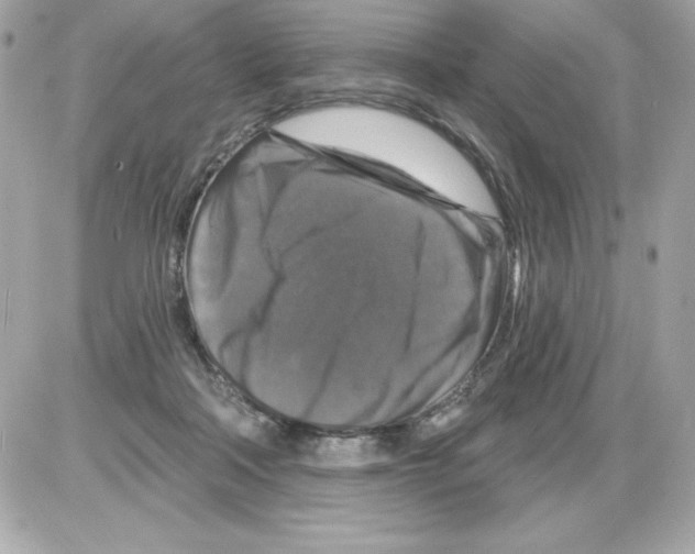 X0000085300314200704092304