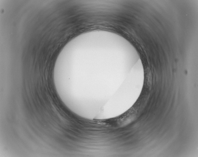 X0000085300316200704092304