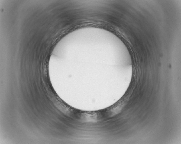 X0000085300317200704092304