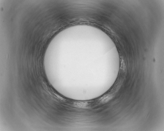 X0000085300318200704092304