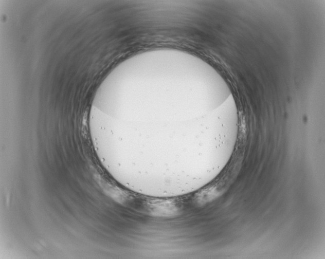 X0000085300322200704092304