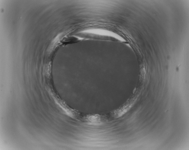 X0000085300325200704092304