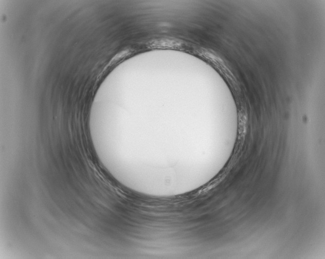 X0000085300326200704092304