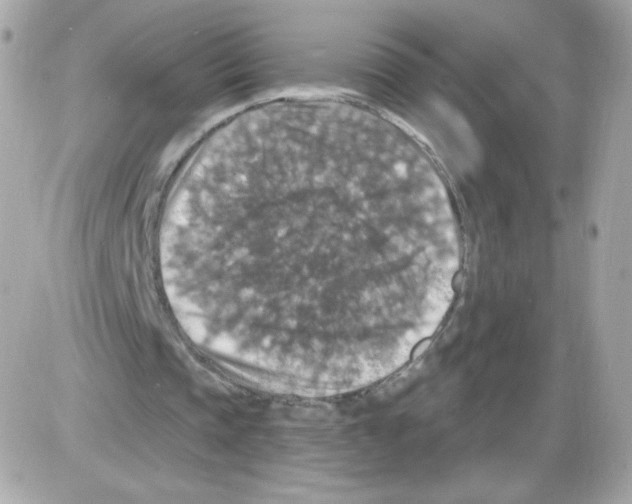 X0000085300337200704092303
