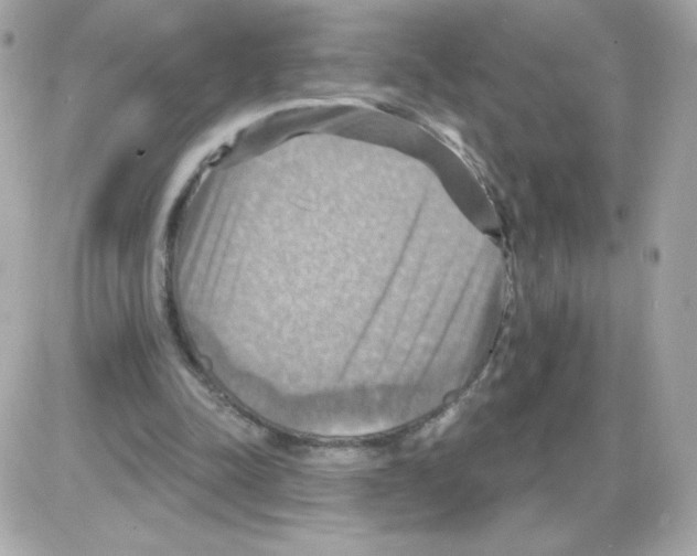 X0000085300342200704092303