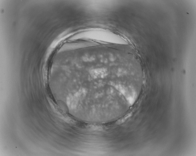 X0000085300343200704092303