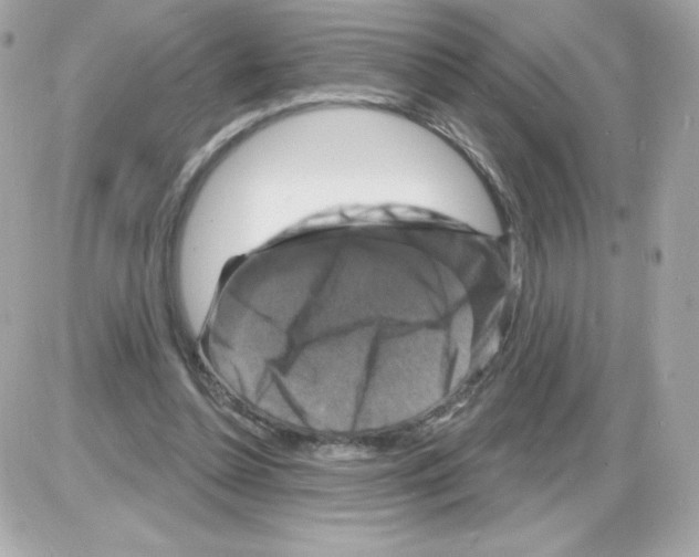 X0000085300348200704092303