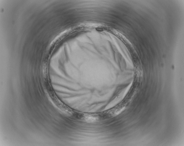X0000085300352200704092303