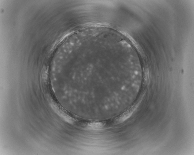 X0000085300357200704092303