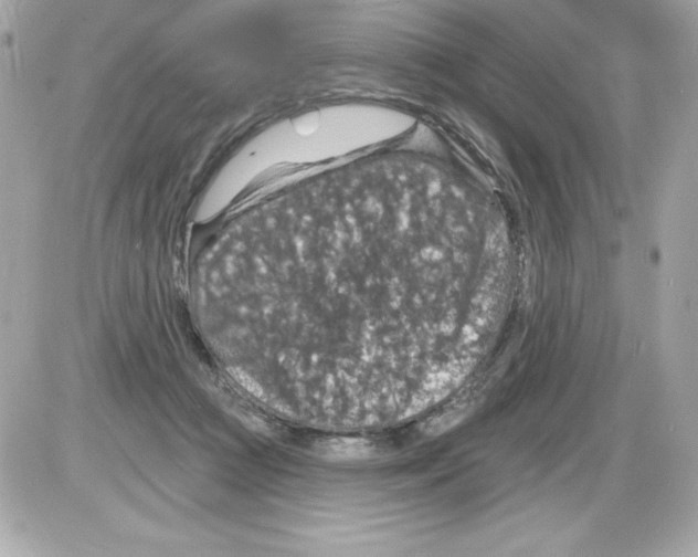 X0000085300361200704092303