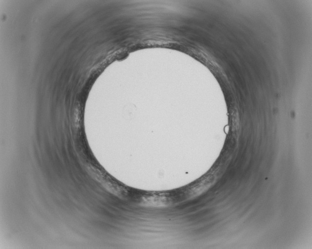 X0000085300362200704092303