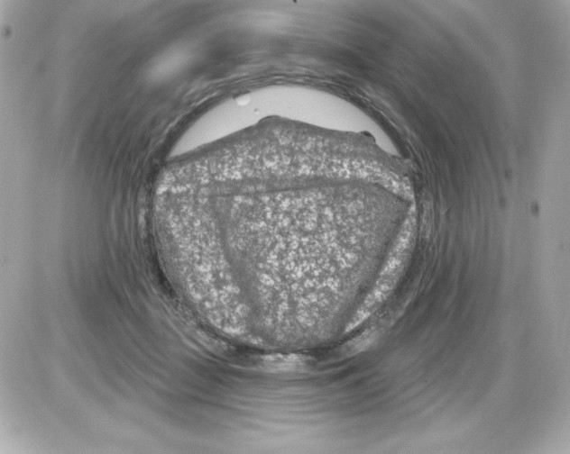 X0000085300363200704092303
