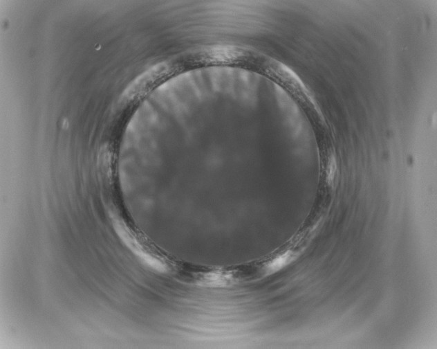 X0000085300366200704092304