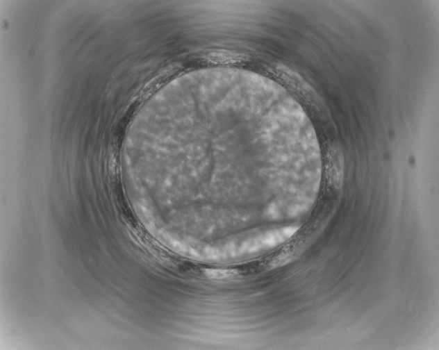 X0000085300371200704092304