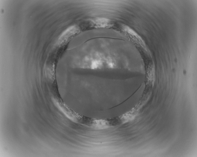X0000085300376200704092304