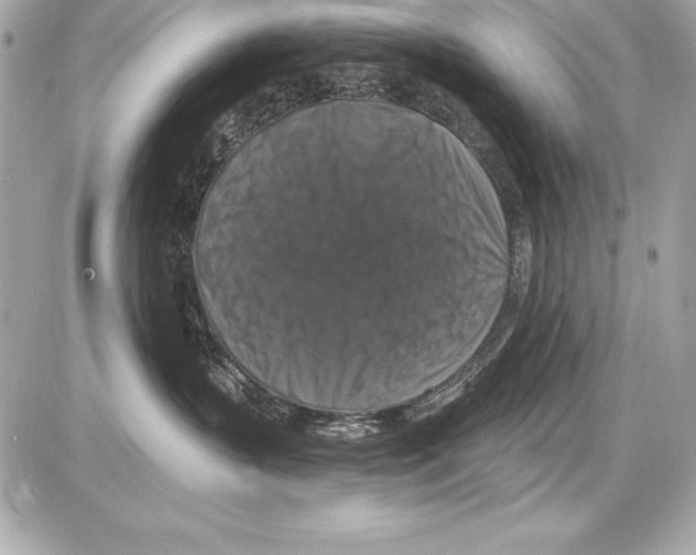 X0000085300383200704092304