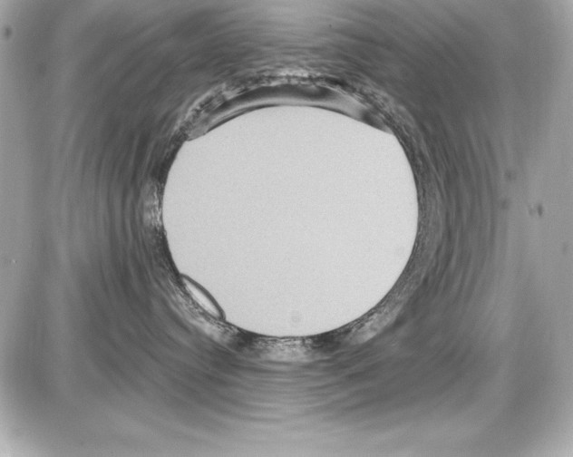X0000085300384200704092304