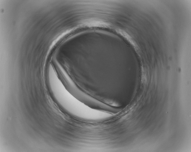 X0000085300391200704092303
