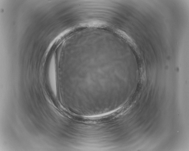 X0000085300392200704092303