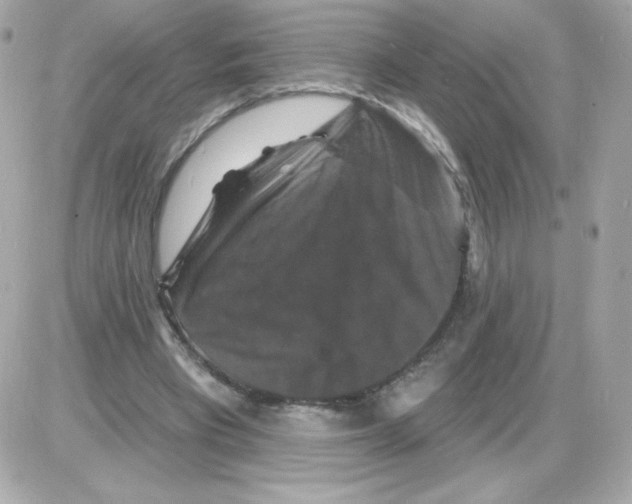 X0000085300393200704092303