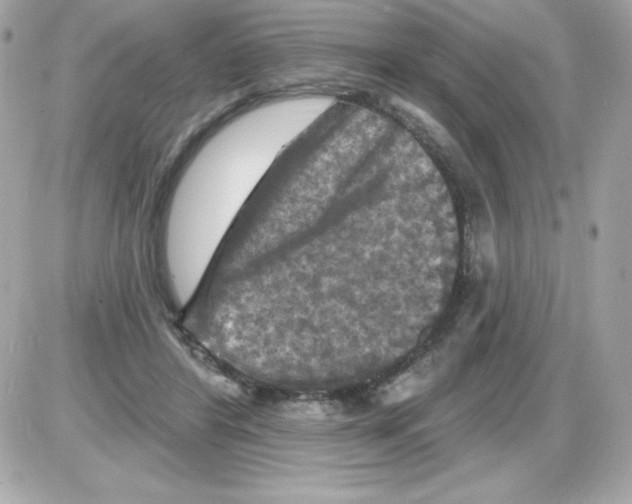 X0000085300404200704092303